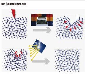 asiagame(中国区)官方网站