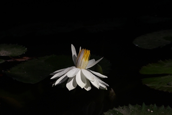 asiagame(中国区)官方网站